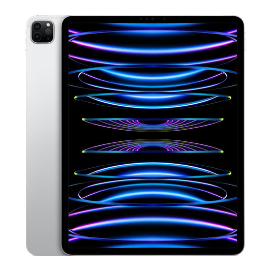 Apple iPad Pro 11 in. 4th Gen (2022) Refurbished - Fair Condition